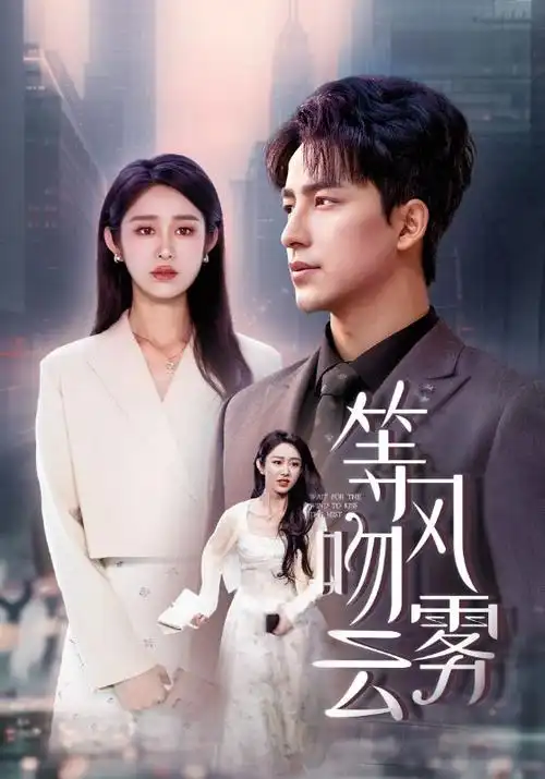长街纪事热播电视剧全集手机免费观看